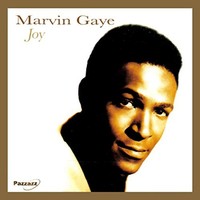 Marvin Gaye - Joy - Cd - G3Z