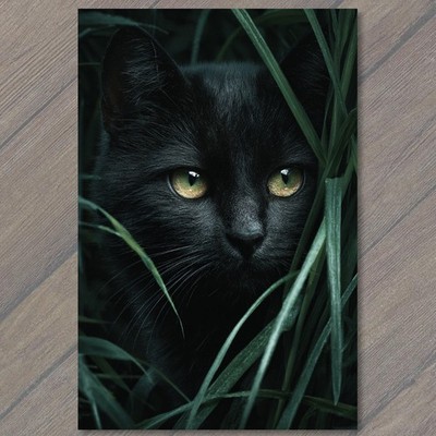 POSTCARD Black Cat Emerald Eyes Tall Grass Night Shadowy Feline Closeup