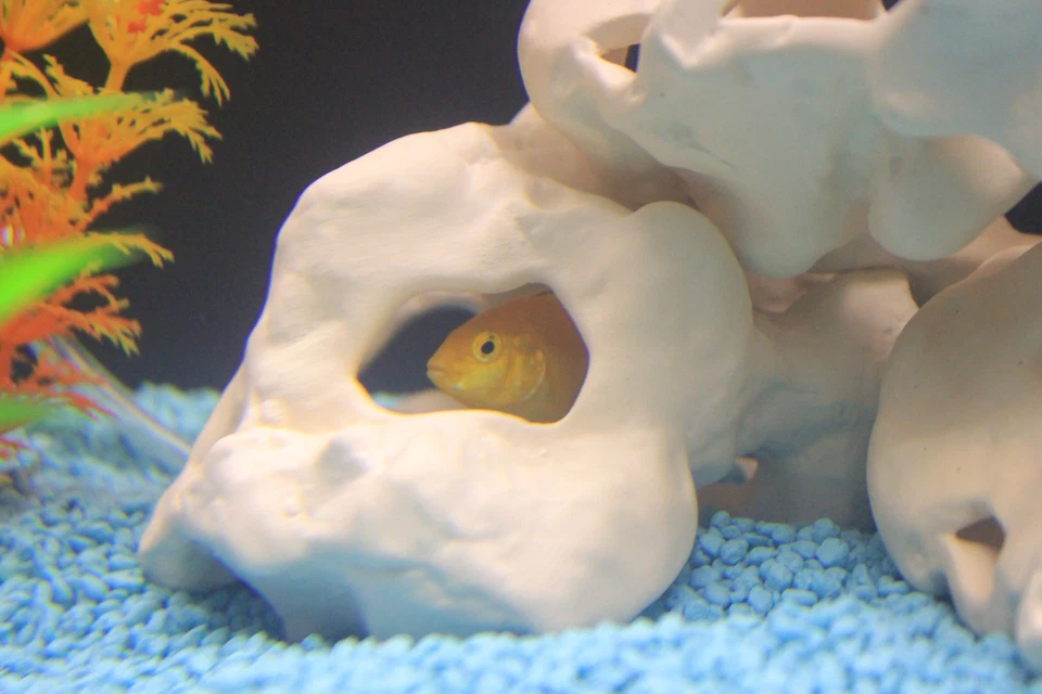 Aquarium-Deko 3 LOCHGESTEINE Felsen Höhle ---------------SONDERANGEBOT---------- - Bild 3 von 4