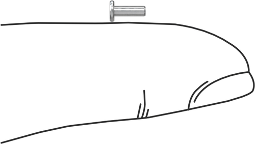 Brightvision 1/64 Rivets - 20 Replacement Rivet Heads & Bits For Custom & Restos - Picture 5 of 10