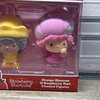 New World Of Strawberry Shortcake Orange Blossom & Raspberry Tart Flocked Dolls — photo 3