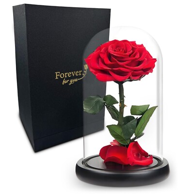 Preserved Rose in Glass Dome Eternal Enchanted Forever  - Infinity Rose  -