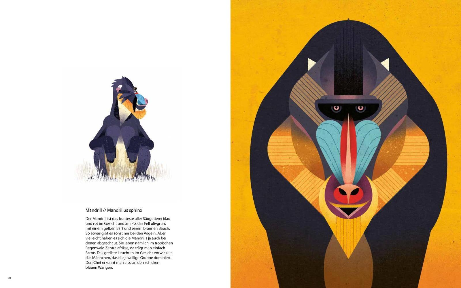 Thumbnail - Die Welt Der Wilden Tiere, Dieter Braun