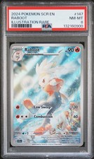 Raboot 147/142 Illustration Rare Stellar Crown Pokemon PSA 8 on eBay