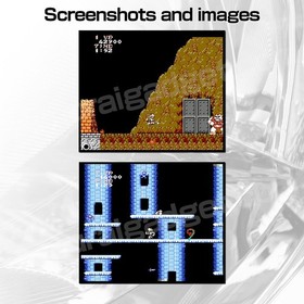 Ghosts 'n Goblins & Makaijima (Pirate Ship Higemaru) Famicom / FC [Japanese NES]