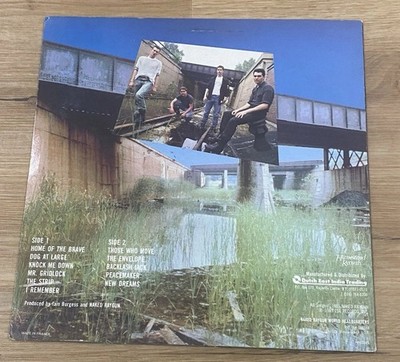NAKED RAYGUN All Rise LP FRANCE OG Homestead VG+ RARE KBD Punk Hardcore
