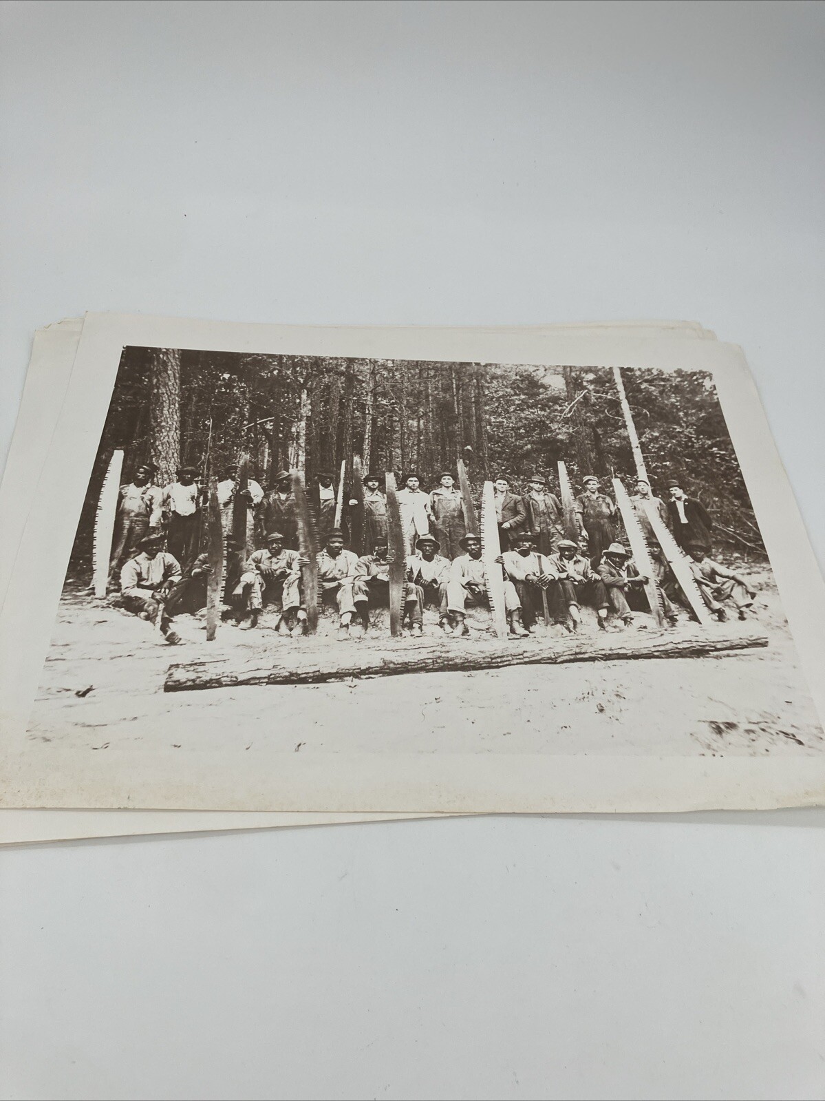 Lot Georgia Pacific Historical Museum 1880-1920 Glory Days Logging Photographs