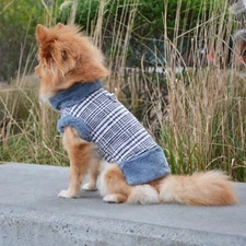 Grey Vest Harness for Small Dogs / Dog Jacket With Harness / Small Dog Vest