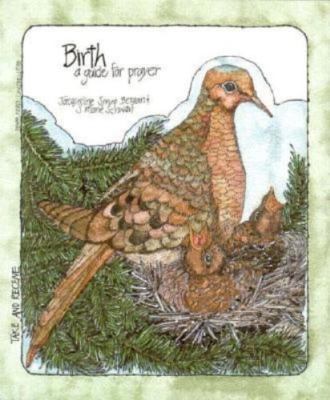 Birth by Bergan, Jacqueline Syrup