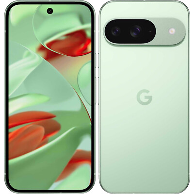 【未使用】Google Pixel 9 Wintergreen 【SIMフリー】 Google Pixel 9 5G Wintergreen 128GB + 12GB Dual-SIM Unlocked