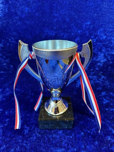 Silver Cup Trophy Equestrian Horse Pony Club Event Competition FREE engraving - 第 3/3 張圖片