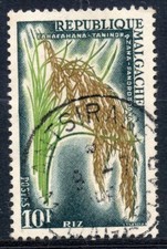 TIMBRE DE MADAGASCAR N° 349 OBLITERE RIZ