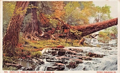 Natürlich Brücke Va-Arbor Vitae Bäume & Cascade ~ 1919 Postkarte Mit Nachricht