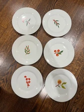 6 CRATE & BARREL 'Berry Sprigs' 7½" SALAD/DESSERT PLATES: Fruits & Leaves (6)