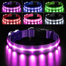Light up Dog Collars, Led Dog Collar, Rechargeable, Night Walking, Waterproof, G