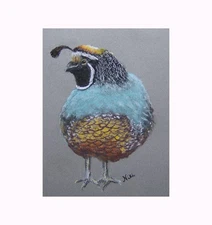 Original Handmade California Quail Wildlife Pastel Painting on Paper Fine Art