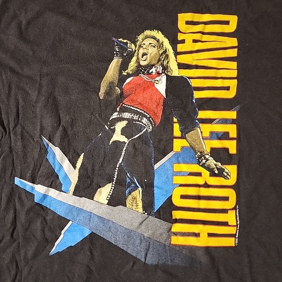 80年代 ビンテージ ロックT　DAVID LEE ROTH USA製 デイヴィッドリーロス ロックTシャツ L ヴィンテージ 80s