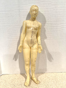 Acupuncture Model Female Acupuncture Practice Display Figure Silicone 17.5"