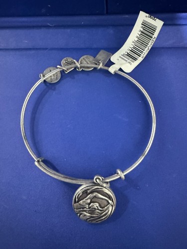 Alex Ani Olympics Team USA Swimming Charm Rafaelian Silver Bangle Bracelet