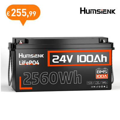 24V 100Ah 2560Wh LiFePO4 Akku Lithium Solar Batterie 100A BMS Camping Off-Grid