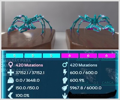 ARK Survival Ascended PVE - Pair top stats, REX, MOSAS, MANAGAMR, DRAKE, THYLAS