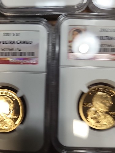 2001-2007 Sacagawea Dollars - Picture 7 of 13