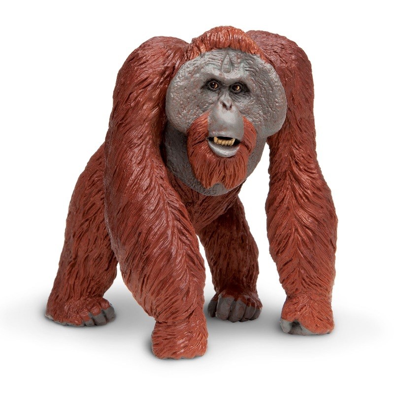Safari ltd 112289 Orangutan 12 Cm Wild Animals Series Action Figure