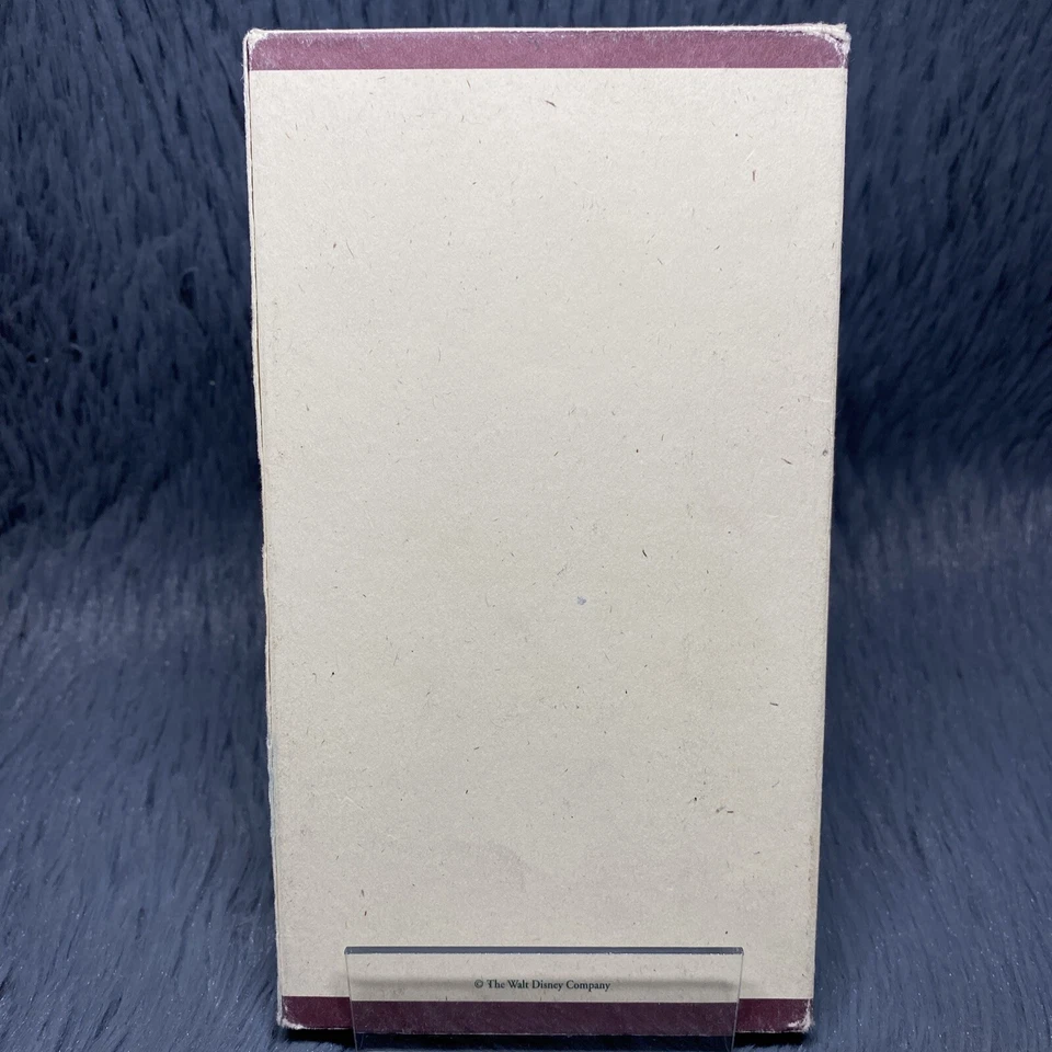 Roommates VHS Tape 1995 The Walt Disney Studios Academy For Your Consideration Foto 4 de 4