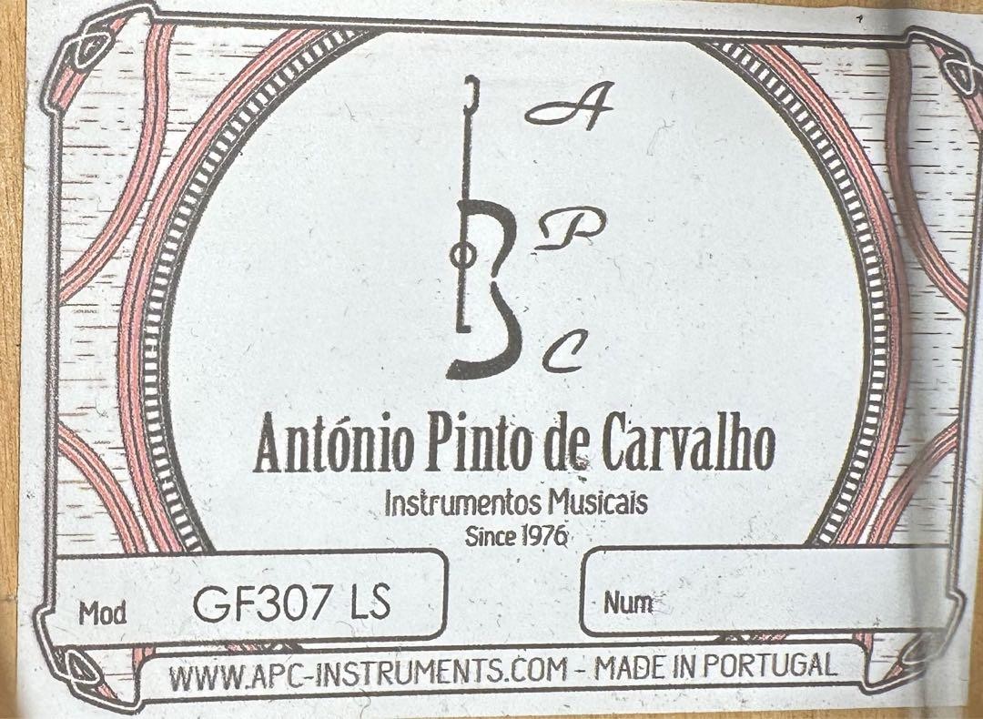 Portuguese Guitar GF307 LS Vintage Lisbon Fretboard Wear