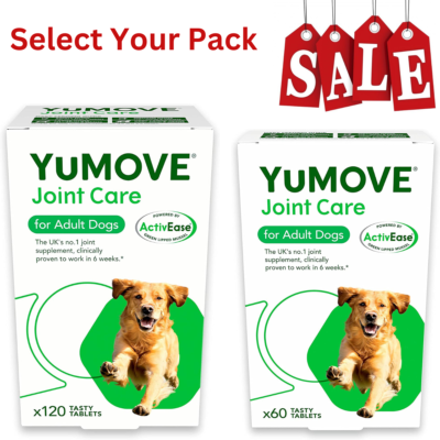 8 Best Joint Supplements For Dogs In 2025, Recommended By - Foto 9
