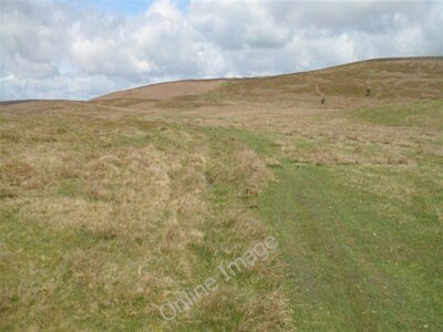 Photo 6x4 Warren Hill Warren Hill/SO1477 Track running over moorland abo c2009