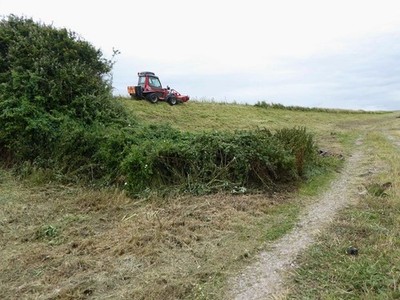 Foto 6x4 Grasschnitt an der Meereswand Summerleaze c2015
