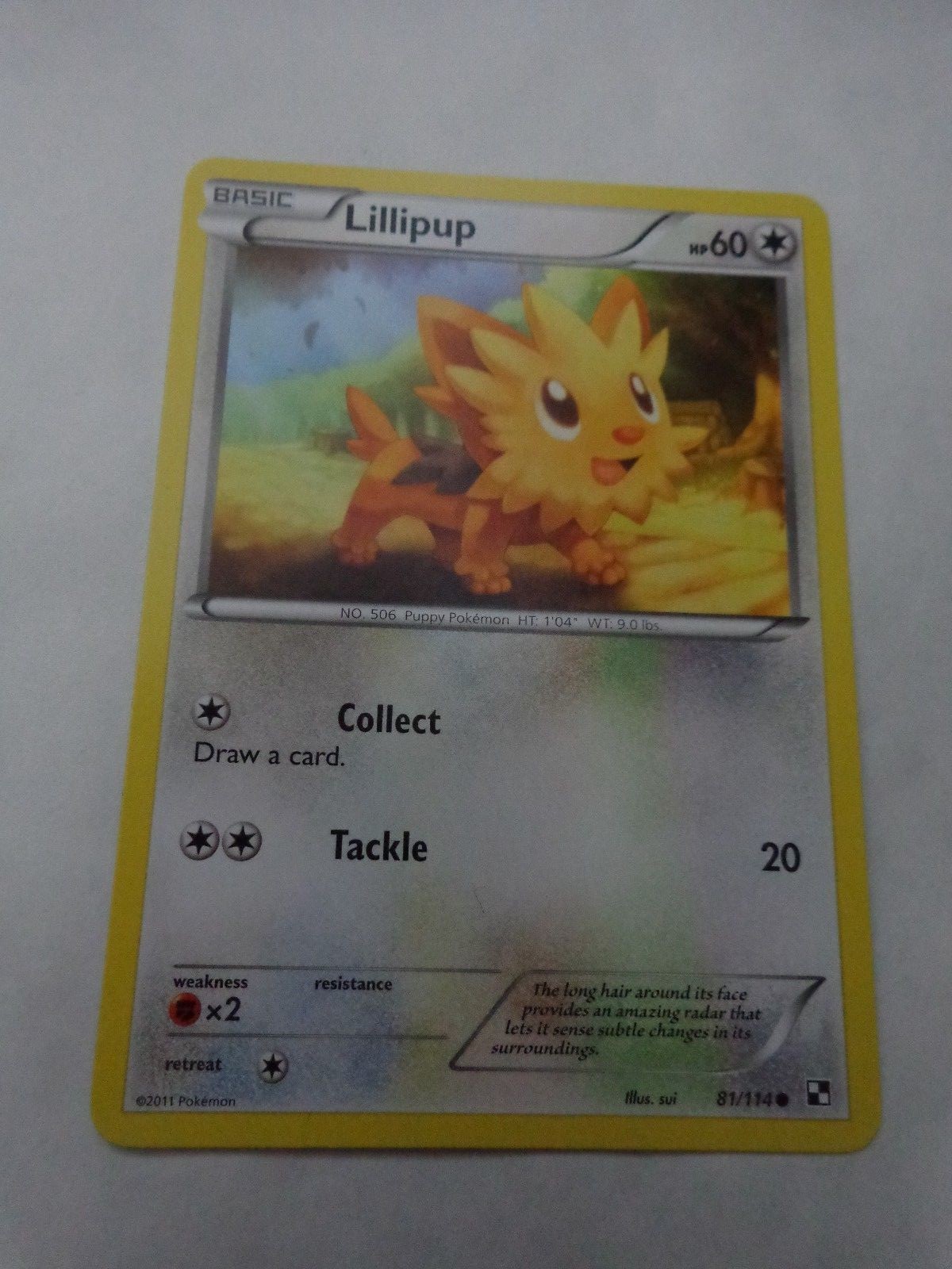 COMMON LILLIPUP 81/114 BLACK & WHITE SET POKEMON CARD GO MINT