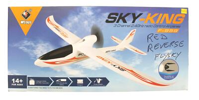 WL TOYS F-959 SKYKING 4-KANAL 2,4GHZ FERNGESTEUERTES FLUGZEUG