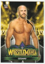 Cesaro 2018 Topps Wrestlemania Roster R-21