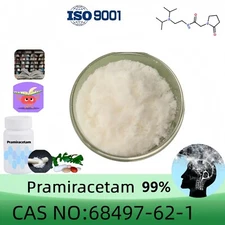 Pramiracetam, Purity Above 99%, 20 Grams, Include 100mg Scoop, CAS 68497-62-1