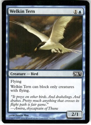 Welkin Tern 79 C Magic 2013 (M13) 2012