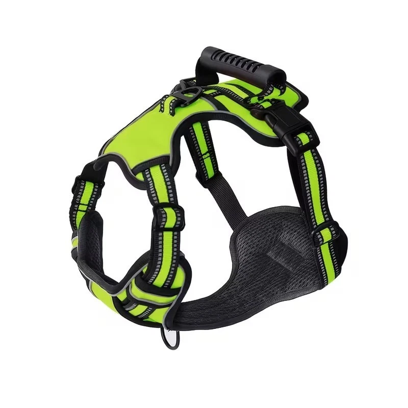 dog harness