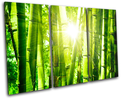 Bamboo Shoots Floral TREBLE Leinwand Wand Kunst Bild drucken