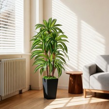 Artificial Dracaena Tree with Lights, 5Ft Fak...