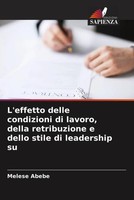 Melese Abebe | L'effetto Delle Condizioni Di Lavoro, Della Retribuzione E...