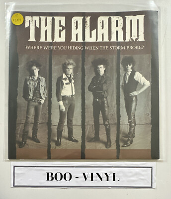 The Alarm, Where Were You Hiding When The Storm Broke,12'' Vinyl Single EX/NM