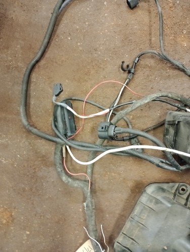 AUDI TT 1.8T BAM Engine Management Wiring Loom +LAMBDA APX? GOLF CONVERSION - Picture 16 of 24