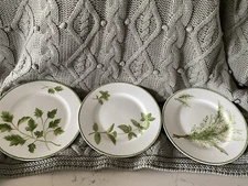 The Cellar Macy Salad Plate Set Of 3 Green Foliage 9"