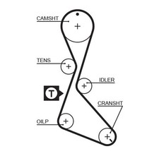 Courroie de distribution Renault TRAFIC
