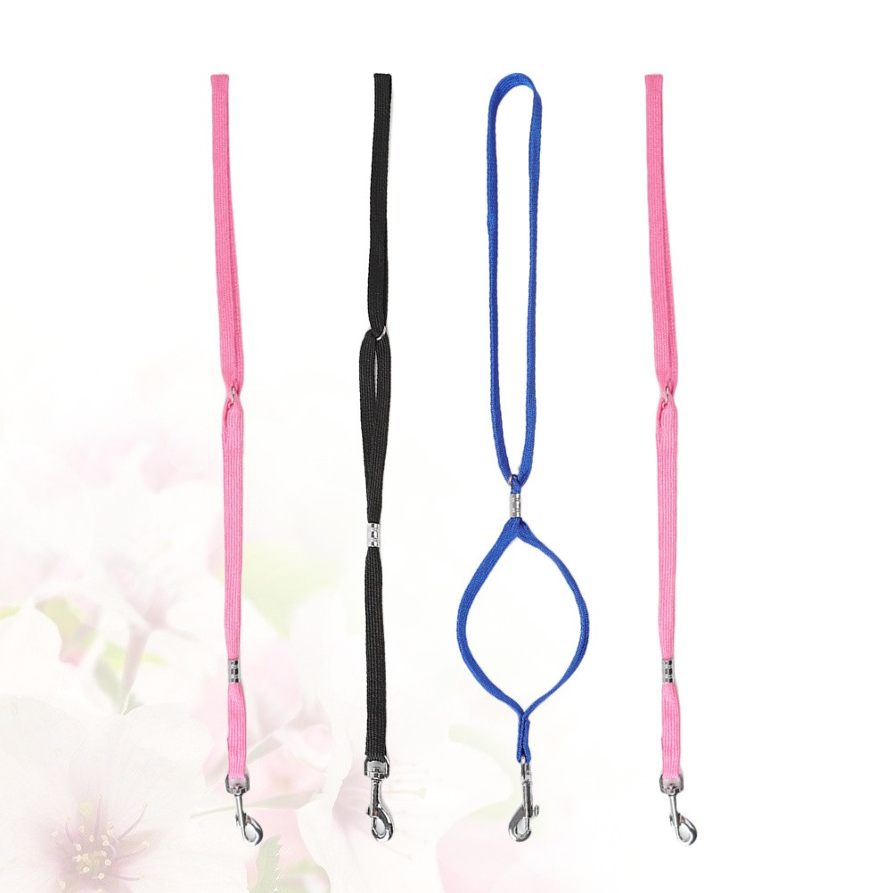 4 Accessori per la Toelettatura di Cani e Gatti foto 5