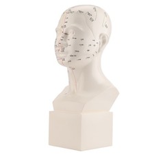 Standard Acupoint Head Model TCM Human Acupuncture Point Head Model Acupuncture