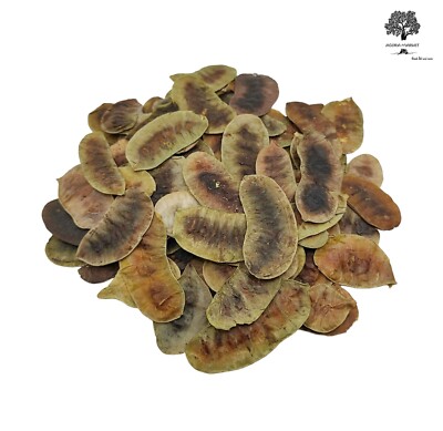 Dried Senna Pods Herbal Tea 220 g (7.8oz) - Premium Quality | Senna Alexandrina