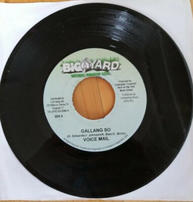 VOICE MAIL - GALANG SO *** WILD 2 NITE riddim 