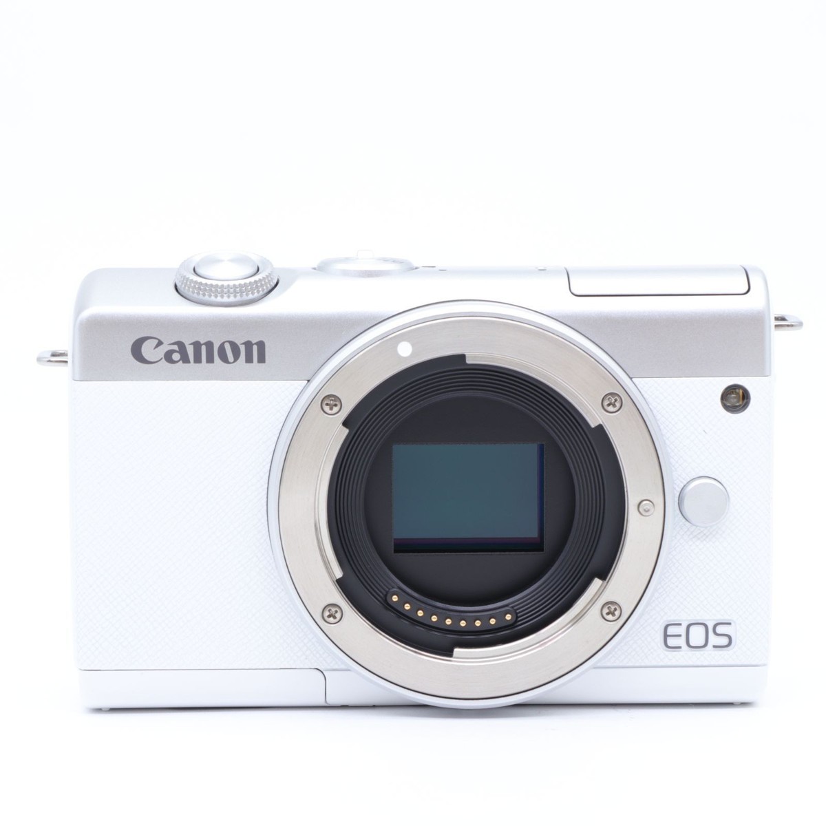 Canon EOS M200 24.1 MP Mirrorless Interchangeable Lens Camera